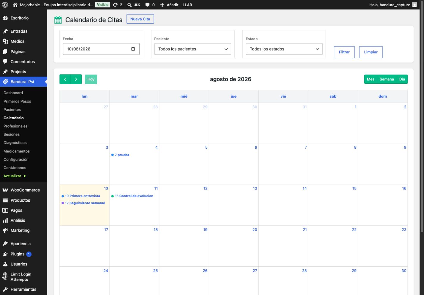 Agenda visual de citas en Bandura PSI